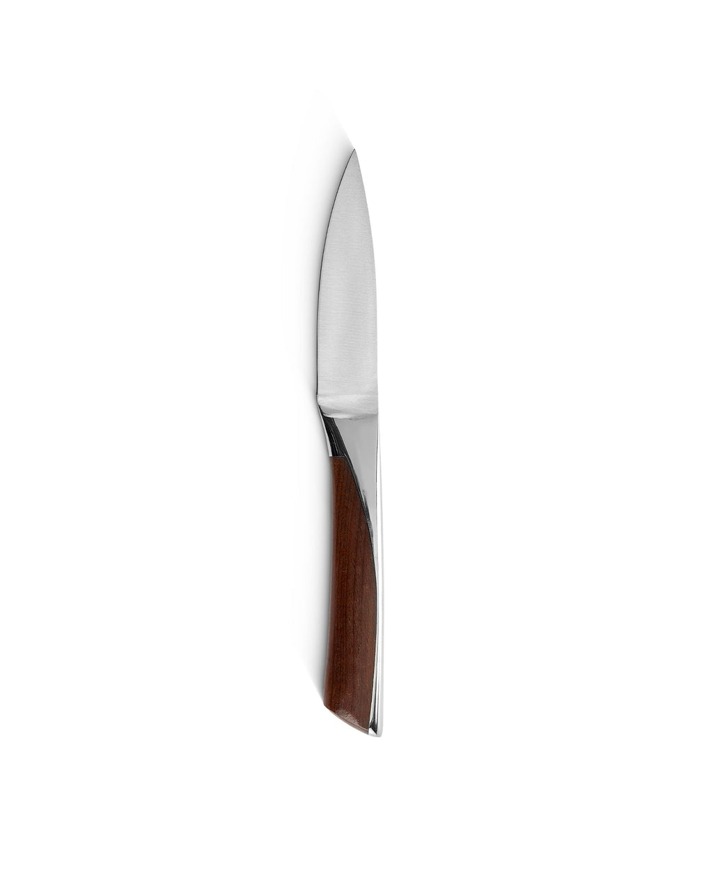 Set de 5 Couteaux avec Bloc Magnétique